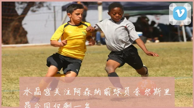 水晶宫关注阿森纳前球员奈尔斯里昂合同仅剩一年